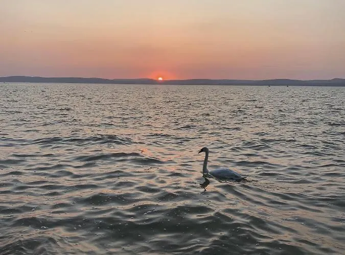 Prázdninový dům Lakeside Balatonszarszo